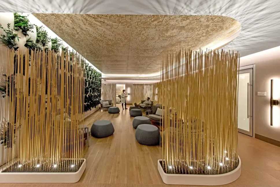 NewYork - Presbyterian Hospital: A 250-Year Legacy of Healthcare Excellence